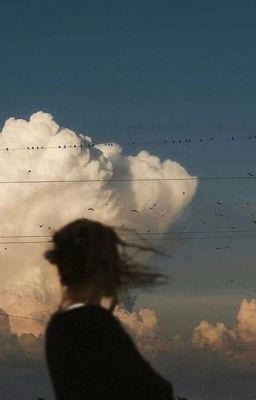 Две птицы, одна клетка