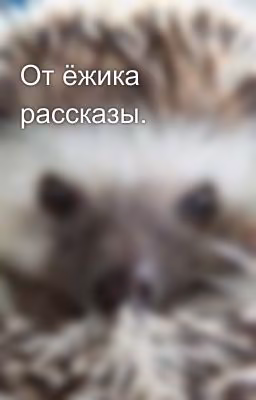 От ёжика рассказы.