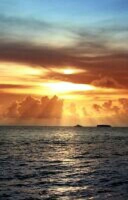 Мьортвый совед