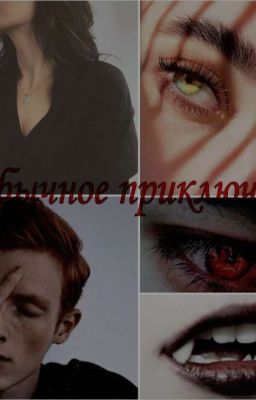 Необычное приключение