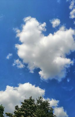 Чёрный день