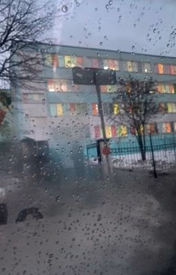 Школа непослушания
