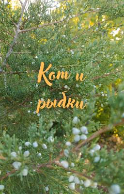 Кот и рыбки (сборник рассказов)