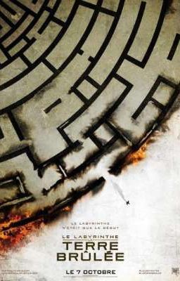 Бегущая в лабиринте 