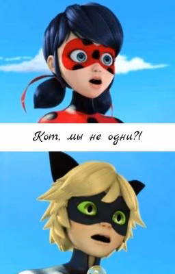 Кот, мы не одни?!