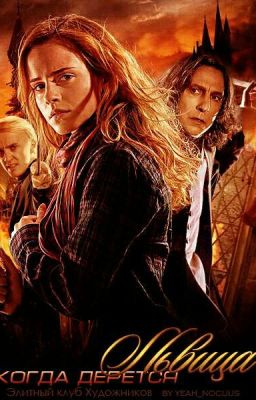 Когда дерется львица