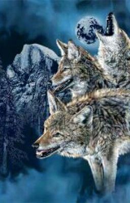 Нападение Оборотней