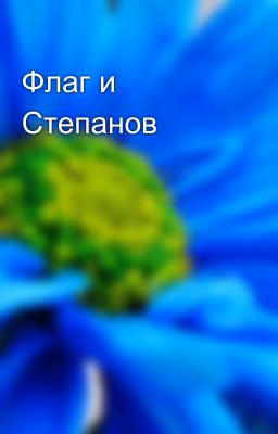 Флаг и Степанов