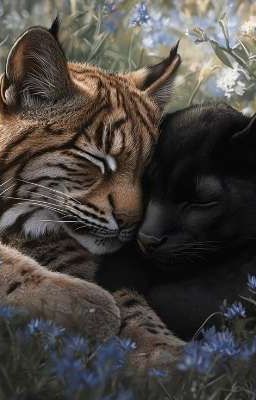 Исключение из правил.Дети леса