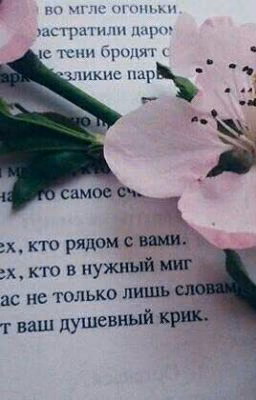 Я Твой Цитатник❤