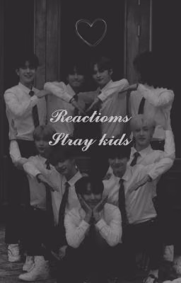 ~Stray kids reactions~