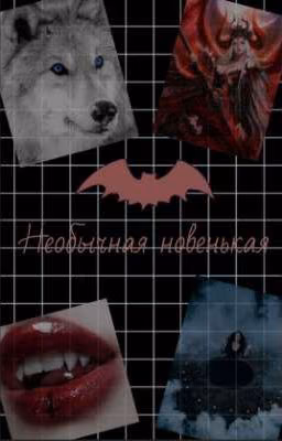 Необычная новенькая