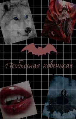 Необычная новенькая