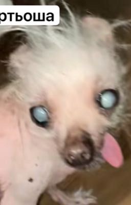 бомжи и алкоголь ❤️🔥