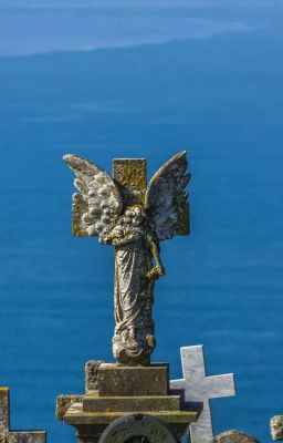 Чья Жизнь Важней ?