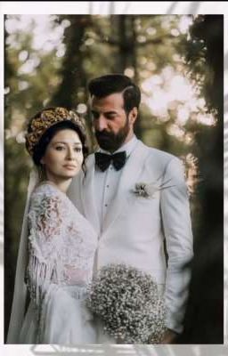 Повести сердца 