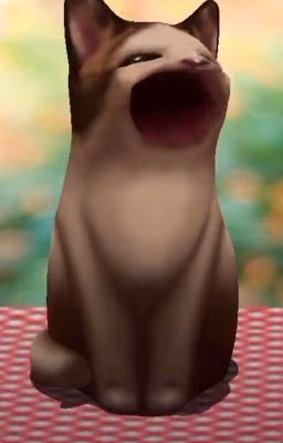 сюрприз для ёшки (≡^∇^≡)