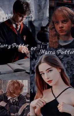 Potters