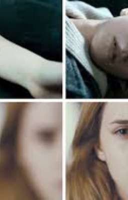 Не Совершенство. Начало