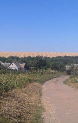 Цель Жизни
