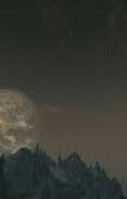 Кошелек И Жизнь