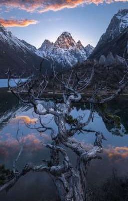 Где есть вода 