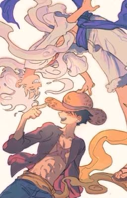One piece x reader