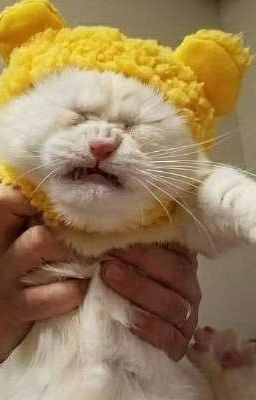 Что чувствую