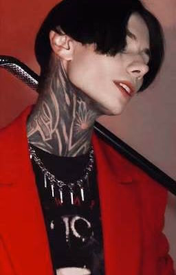 Новый ПАПА....
