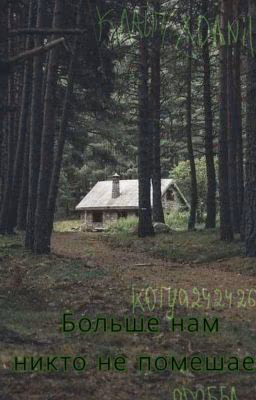 Больше нам никто не помешает...