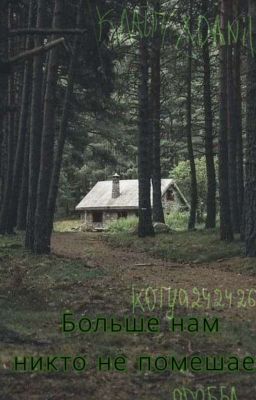 Больше нам никто не помешает... 