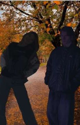 Притяжение противоположностей 