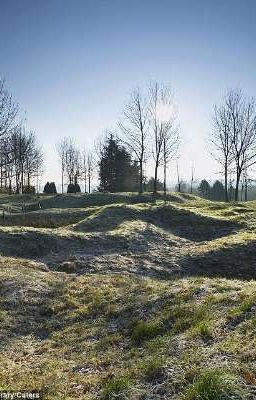 Огни в темноте