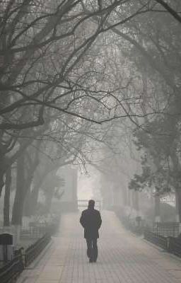 Последняя прогулка