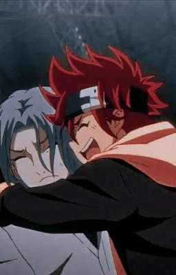 Небольшая сора 