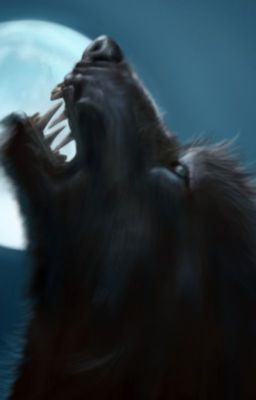 Кровавая луна