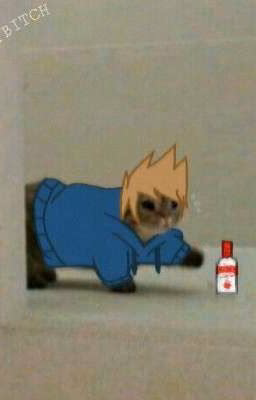 ⋆Реакция 𝔼𝕕𝕕𝕤𝕨𝕠𝕣𝕝𝕕 на т/и⋆(Завершено)
