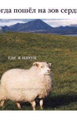 Анекдоты