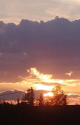 ★любовь сводных братьев и сестёр★