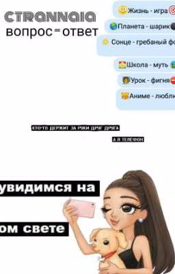 вопрос - ответ 