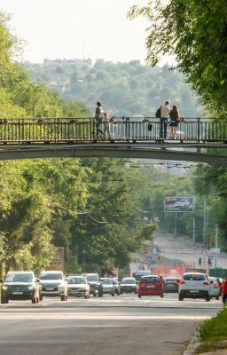 Летнее приключение