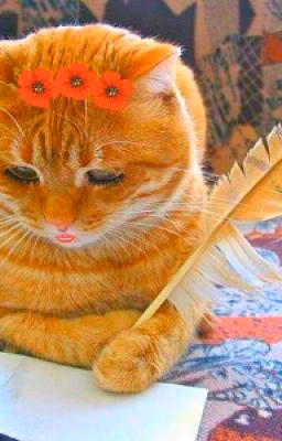 Записки Котейки