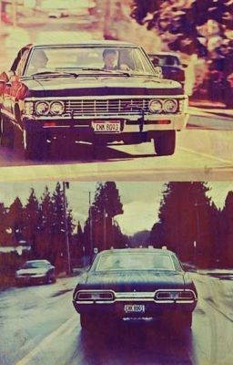 Разные миры