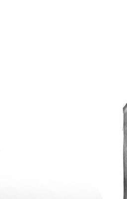 Кровавая любовь