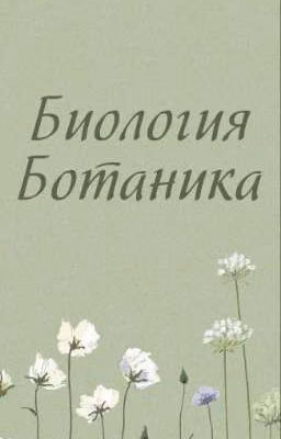 Биология. Ботаника