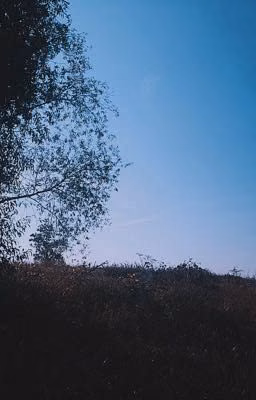 Жизнь Салли