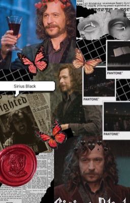 Влюбиться в Блэка.