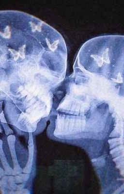 любовь головного мозга