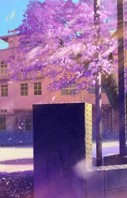 Превращение, это просто школа, в - Это куда хуже