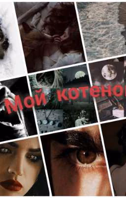 мой котенок